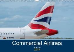 Commercial Airlines (Wall Calendar 2019 DIN A3 Landscape)