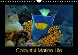 Colourful Marine Life (Wall Calendar 2019 DIN A4 Landscape)