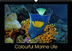 Colourful Marine Life (Wall Calendar 2019 DIN A3 Landscape)