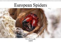 European Spiders (Wall Calendar 2019 DIN A3 Landscape)