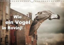 Wie ein Vogel in Rovinj! (Wandkalender 2019 DIN A4 quer)