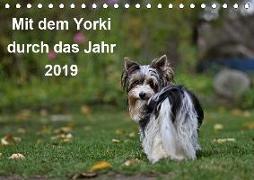 Mit dem Yorki durch das Jahr 2019 (Tischkalender 2019 DIN A5 quer)