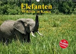 Elefanten . Wildlife in Kenia (Wandkalender 2019 DIN A3 quer)