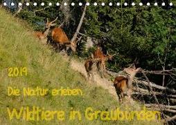 Die Natur erleben - Wildtiere in GraubündenCH-Version (Tischkalender 2019 DIN A5 quer)