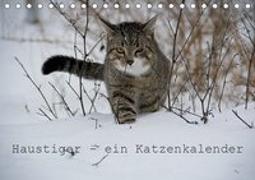 Haustiger - Ein Katzenkalender (Tischkalender 2019 DIN A5 quer)