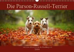 Die Parson-Russell-Terrier ...mit neuen Abenteuern aus der Hundeknipserei (Wandkalender 2019 DIN A3 quer)