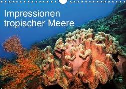 Impressionen tropischer Meere (Wandkalender 2019 DIN A4 quer)