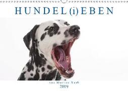 HUNDEL(i)EBEN (Wandkalender 2019 DIN A3 quer)