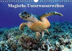 Magische Unterwasserwelten (Wandkalender 2019 DIN A4 quer)