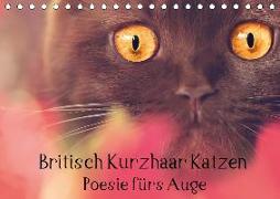 Britisch Kurzhaar Katzen - Poesie fürs Auge (Tischkalender 2019 DIN A5 quer)