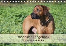 Rhodesian Ridgeback Schönheit aus Afrika (Tischkalender 2019 DIN A5 quer)