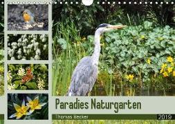 Paradies Naturgarten (Wandkalender 2019 DIN A4 quer)