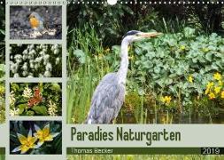 Paradies Naturgarten (Wandkalender 2019 DIN A3 quer)