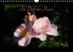 Im Duft der Rosen (Wandkalender 2019 DIN A4 quer)
