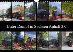 Unter Dampf in Sachsen Anhalt 2.0 (Wandkalender 2019 DIN A4 quer)
