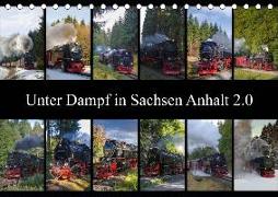 Unter Dampf in Sachsen Anhalt 2.0 (Tischkalender 2019 DIN A5 quer)