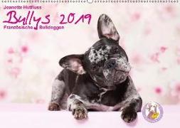 Bullys - Französische Bulldoggen 2019 (Wandkalender 2019 DIN A2 quer)