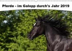 Pferde - im Galopp durch's Jahr 2019 (Wandkalender 2019 DIN A3 quer)