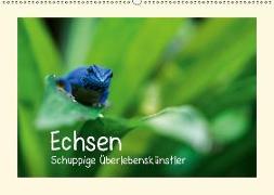 Echsen - Schuppige Überlebenskünstler (Wandkalender 2019 DIN A2 quer)