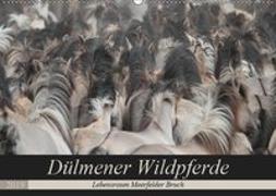 Dülmener Wildpferde - Lebensraum Meerfelder Bruch (Wandkalender 2019 DIN A2 quer)