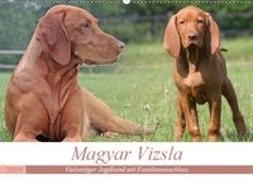 Magyar Vizsla - Vielseitiger Jagdhund mit Familienanschluss (Wandkalender 2019 DIN A2 quer)