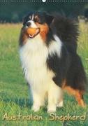 Australian Shepherd (Wandkalender 2019 DIN A2 hoch)