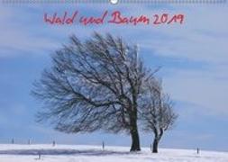 Wald und Baum 2019 (Wandkalender 2019 DIN A2 quer)