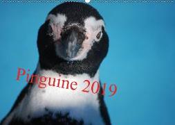 Pinguine 2019 (Wandkalender 2019 DIN A2 quer)