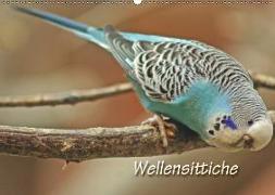 Wellensittiche (Wandkalender 2019 DIN A2 quer)