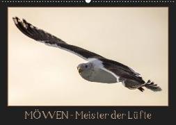 Möwen - Meister der Lüfte (Wandkalender 2019 DIN A2 quer)