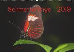 Schmetterlinge 2019CH-Version (Wandkalender 2019 DIN A2 quer)