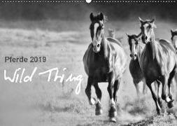 Pferde 2019 Wild Thing (Wandkalender 2019 DIN A2 quer)