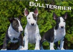 Bullterrier (Wandkalender 2019 DIN A2 quer)