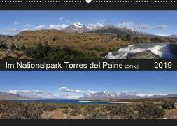 Im Nationalpark Torres del Paine (Chile) (Wandkalender 2019 DIN A2 quer)