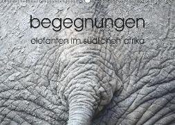 begegnungen - elefanten im südlichen afrika (Wandkalender 2019 DIN A2 quer)
