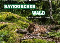 Bayerischer Wald (Wandkalender 2019 DIN A2 quer)