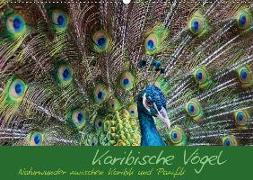Karibische Vögel - Naturwunder zwischen Karibik und Pazifik (Wandkalender 2019 DIN A2 quer)
