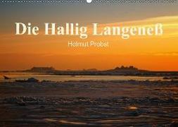 Die Hallig Langeneß / CH-Version (Wandkalender 2019 DIN A2 quer)