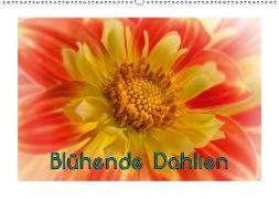 Blühende Dahlien (Wandkalender 2019 DIN A2 quer)