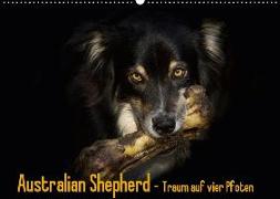 Australian Shepherd - Traum auf vier Pfoten (Wandkalender 2019 DIN A2 quer)
