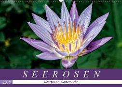 Seerosen - Königin der Gartenteiche (Wandkalender 2019 DIN A2 quer)