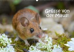 Grüsse von der Maus! (Wandkalender 2019 DIN A2 quer)