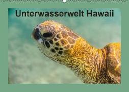 Unterwasserwelt Hawaii (Wandkalender 2019 DIN A2 quer)