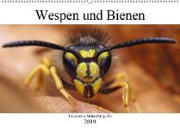 Faszination Makrofotografie: Wespen und Bienen (Wandkalender 2019 DIN A2 quer)