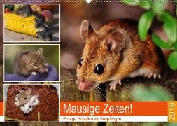 Mausige Zeiten! Putzige Gesellen mit Knopfaugen (Wandkalender 2019 DIN A2 quer)