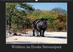 Wildtiere im Etosha Nationalpark (Wandkalender 2019 DIN A2 quer)