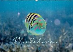 Unterwasserwelt der Malediven II (Wandkalender 2019 DIN A2 quer)