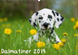 Dalmatiner 2019 (Wandkalender 2019 DIN A2 quer)