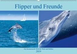 Flipper und Freunde (Wandkalender 2019 DIN A2 quer)