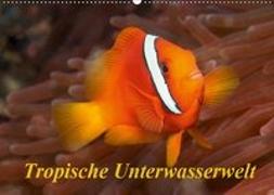 Tropische Unterwasserwelt (Wandkalender 2019 DIN A2 quer)